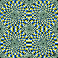 0114304wztdnh3wwvdntw3.jpg